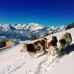 Gipfelblick Alojamento de Turismo Rural Weerberg