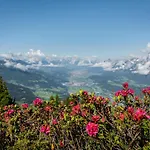 Gipfelblick *