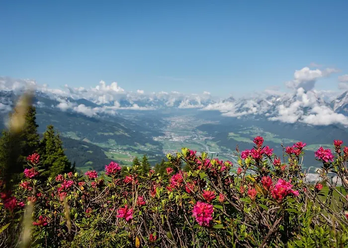 Gipfelblick *