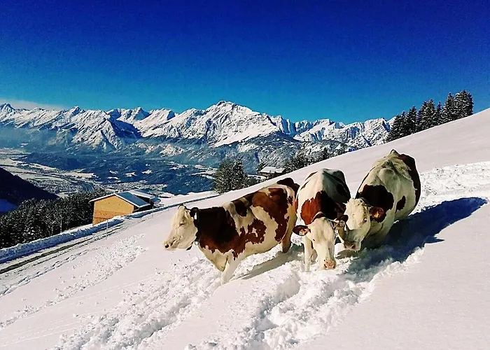 Gipfelblick Farma Weerberg