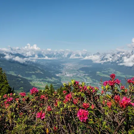 Gipfelblick *